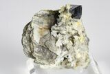 Anatase Crystal On Adularia - Hardangervidda, Norway #177353-2